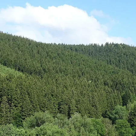 Am Berggrabenweg *