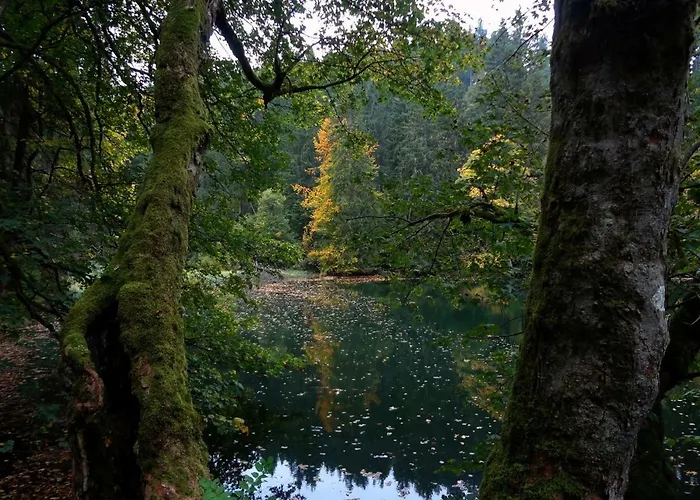 Am Berggrabenweg Ilmenau